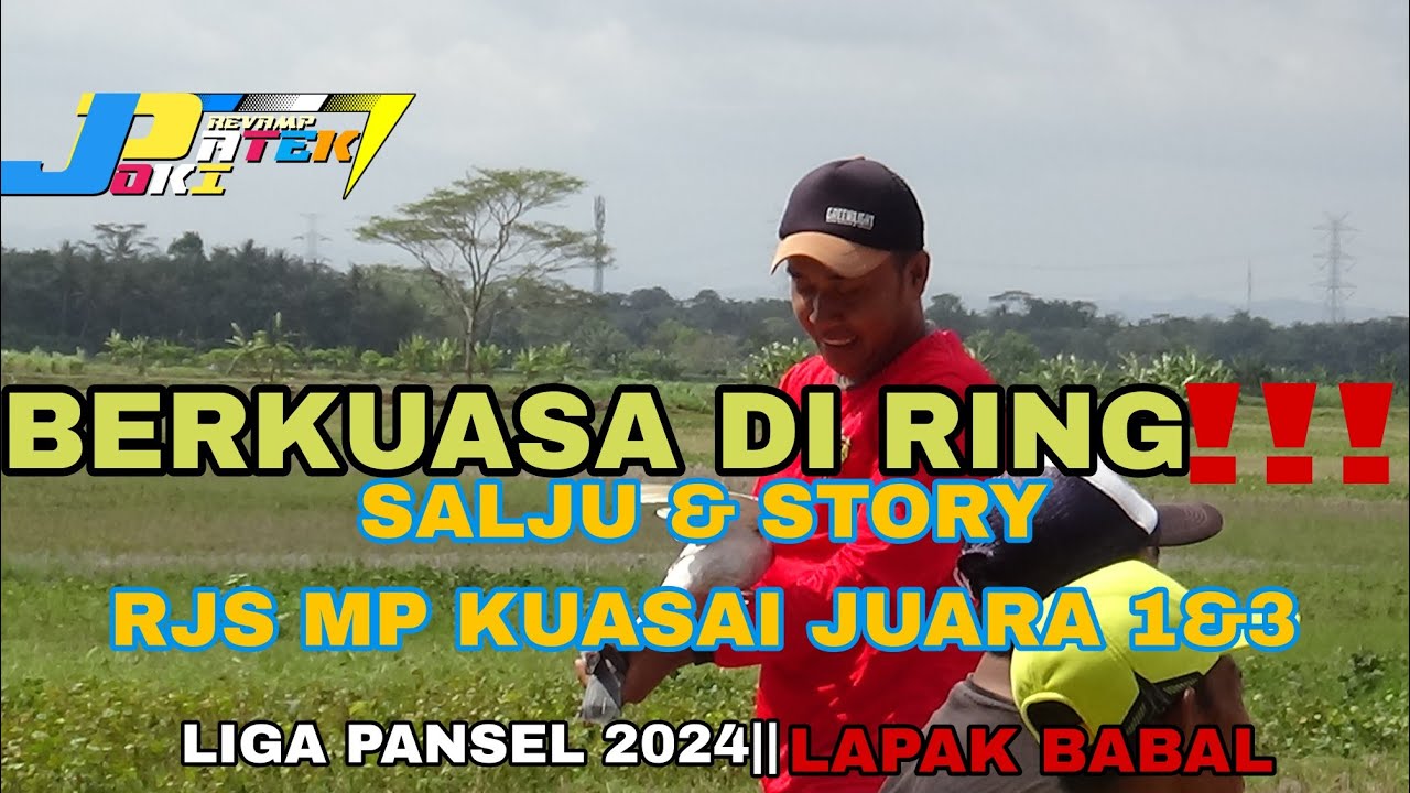 SALJU DAN STORY RJS MP MENDOMINASI !!!LIGA PANSEL 2024|| LAPAK BABAL
