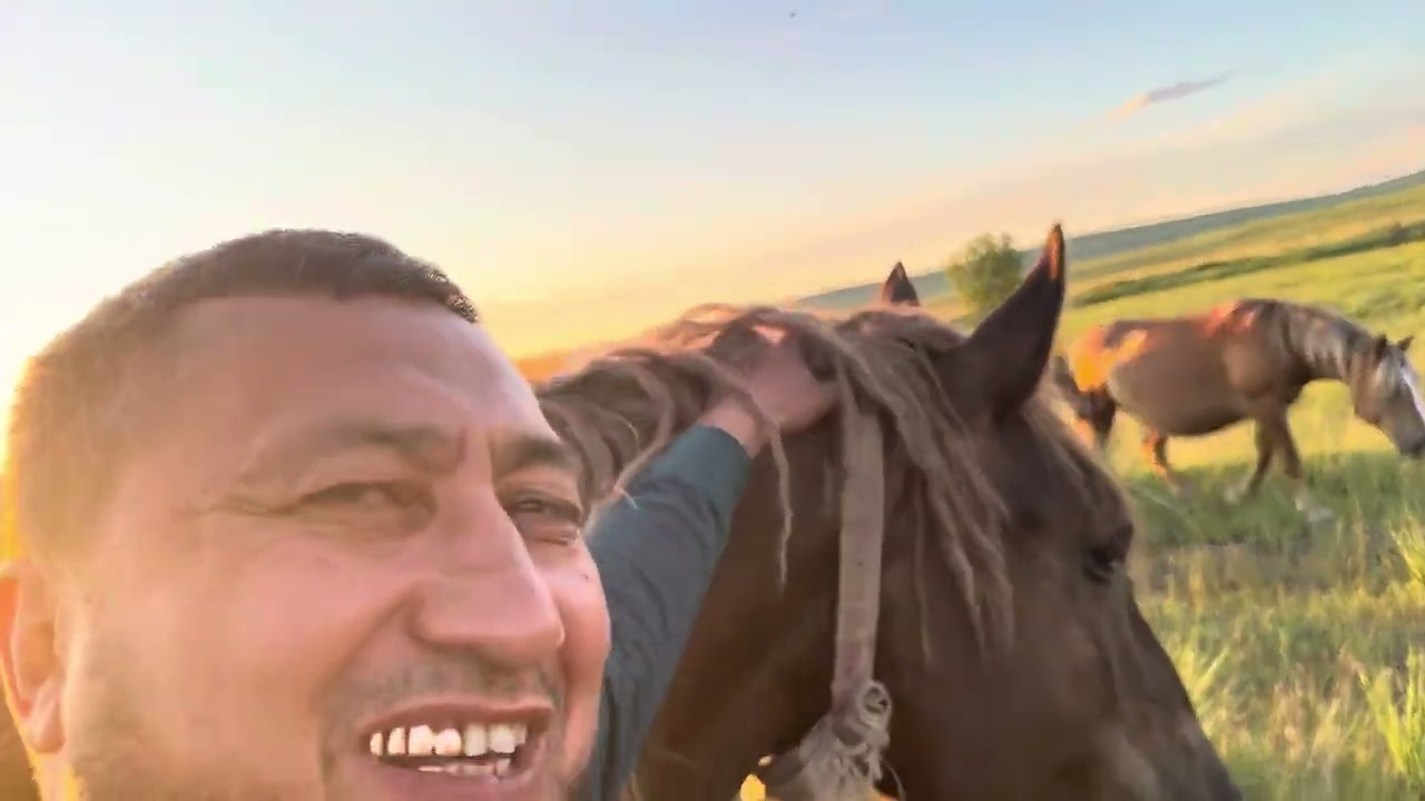 Г Абакан Дилмурад Хожи Йилқилари 15.07.2025 йил