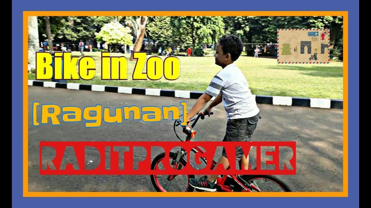 Bike in zoo (bersepeda di kebun binatang) Ragunan - YouTube