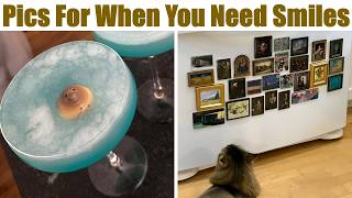 Wholesome And Cute Photos For When You Need Smiles