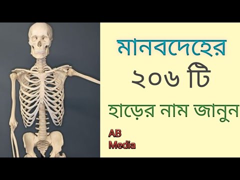 জেনে নিন মানবদেহের ২০৬ টি হাড়ের নাম ভালো লাগবে।।।