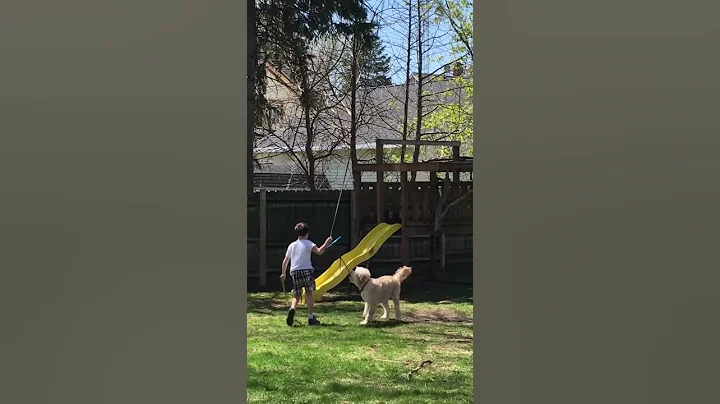 Monkey swing