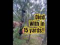 Didn’t go 15 yards! #archery #hunting #deer #fyp #shorts #outdoors #skills