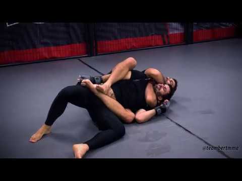 Takedown, Take the Back, and Submit