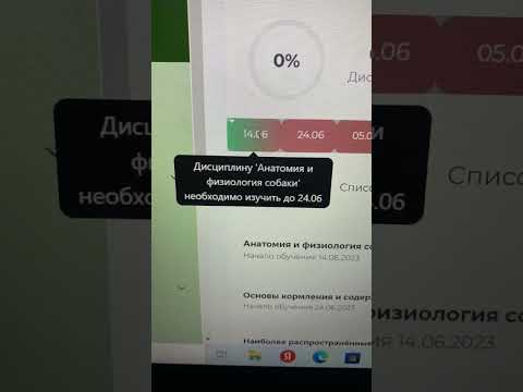 Даже усомнилась в себе Учусь на кинолога. Голова уже кипит