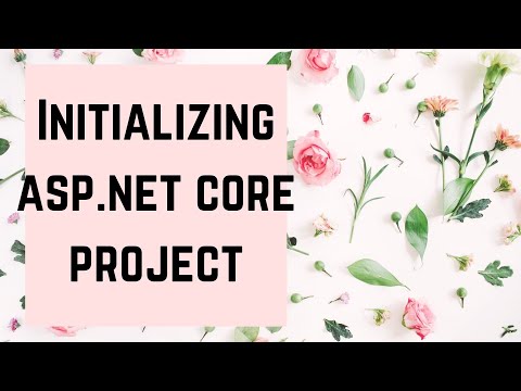SFE000: Initializing ASP.NET Core API Project