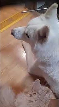 youtube.com