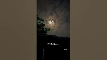 اصاله نصري وفكرت اكمل وانا مش معاه اغاني بدون موسيقى 