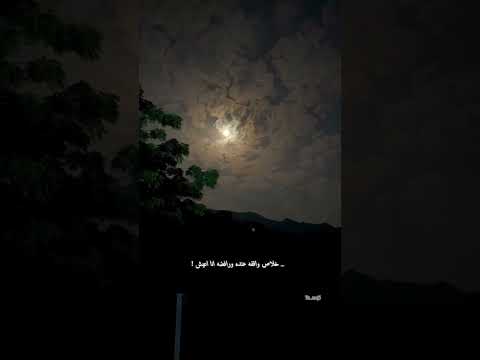 اصاله نصري وفكرت اكمل وانا مش معاه اغاني بدون موسيقى