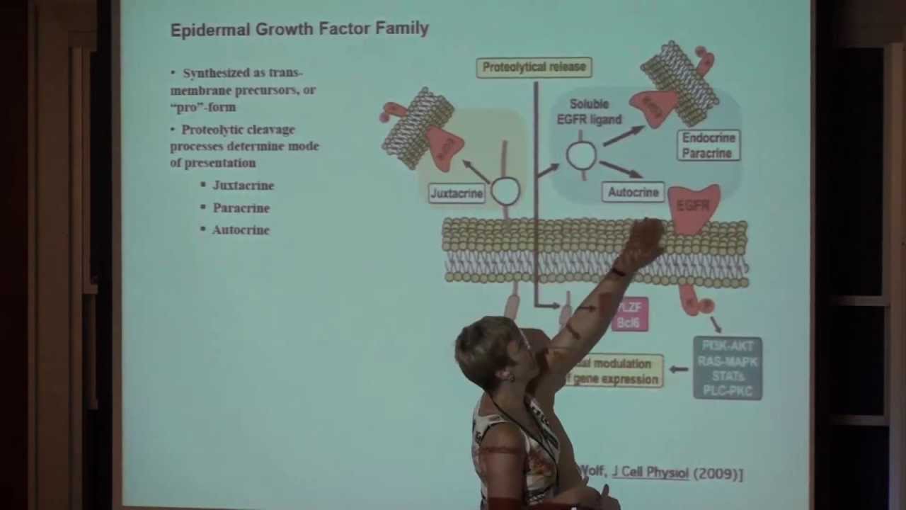 Applications to Tissue Engineering