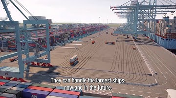 Welcome to APM Terminals Maasvlakte II