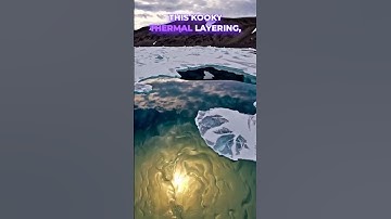 The Weirdest Microbes On Earth