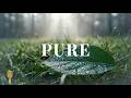 Soft Guitar Music for Relaxation 🎸 Calm Music for Deep Focus