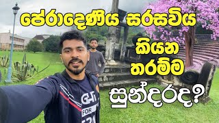 පේරාදෙණි campus හීනය | Beauty of peradeniya university | Vlog 17