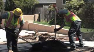 City of Monterey Streets Crews