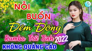 Nỗi Buồn Đêm Đông, Chiều Thương Đô Thị🌟Liên Khúc Rumba Sến Xưa Bolero Bất Hủ Hay Nhất, Toàn Bài Hay