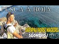 PESCA AO CARAPAU/CAVALA À BOIA EM SESIMBRA/ HORSE MACKEREL FISHING/ サバ / SGOMBRO / حصان الماكريل