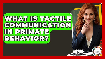 What Is Tactile Communication In Primate Behavior? - Anthropology Insights
