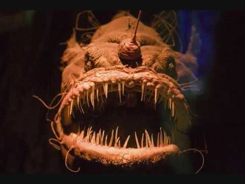 creepy deep sea fish