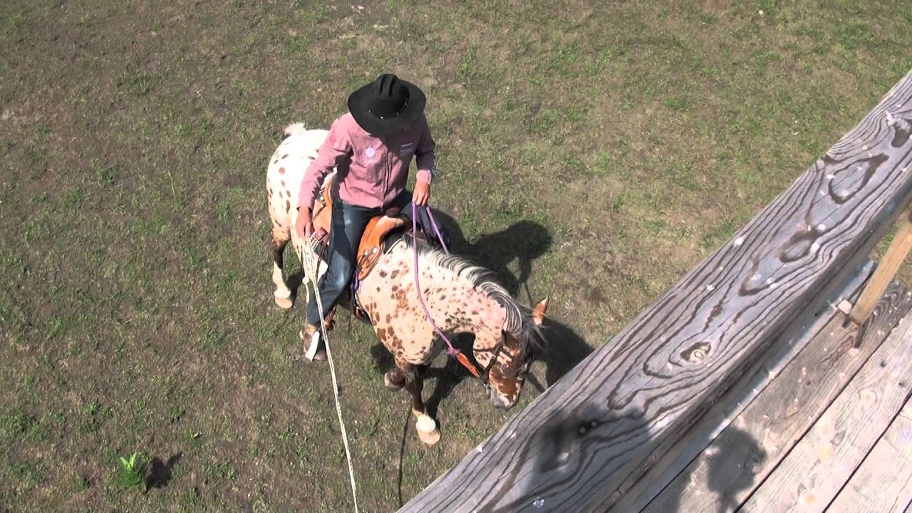 2015 4. EXCA Knockbrack Spotty és Halápi Roland