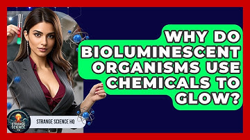 Why Do Bioluminescent Organisms Use Chemicals To Glow? - Strange Science HQ