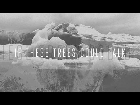 If These Trees Could Talk "Solstice" (OFFICIAL)