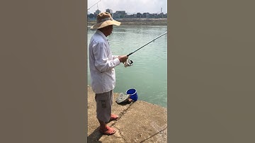 Tại sao lại gọi là cá mương tép giầu,câu trả lời hiện có trong video câu cá sông này.#shorts