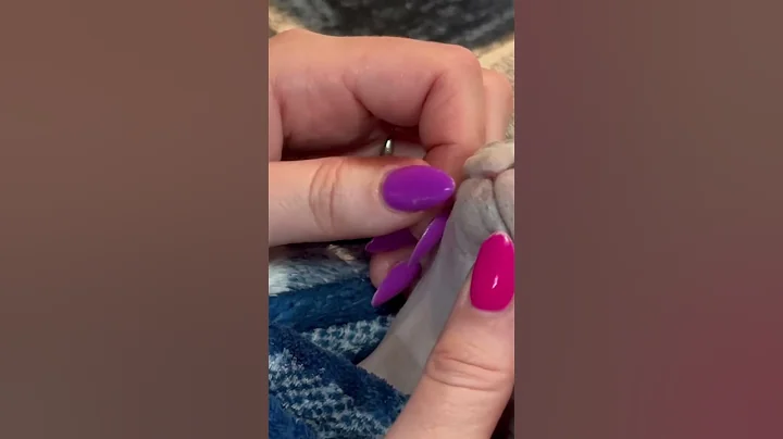 Video 11764841: sphynx