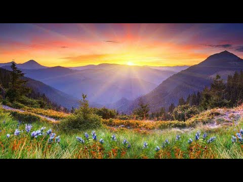 De Nouvelles Choses Sont Déclarées Third Exodus Assembly