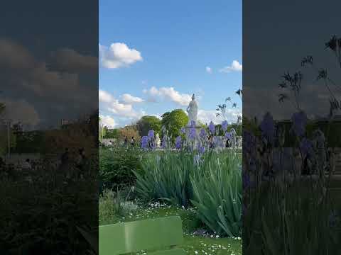 Video: Parížske záhrady Jardins du Trocadero: Kompletný sprievodca