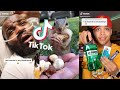 Tik Toks that will leave you Rolling on the Floor Laughing 🤣😂