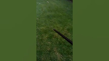 How to throw a spear