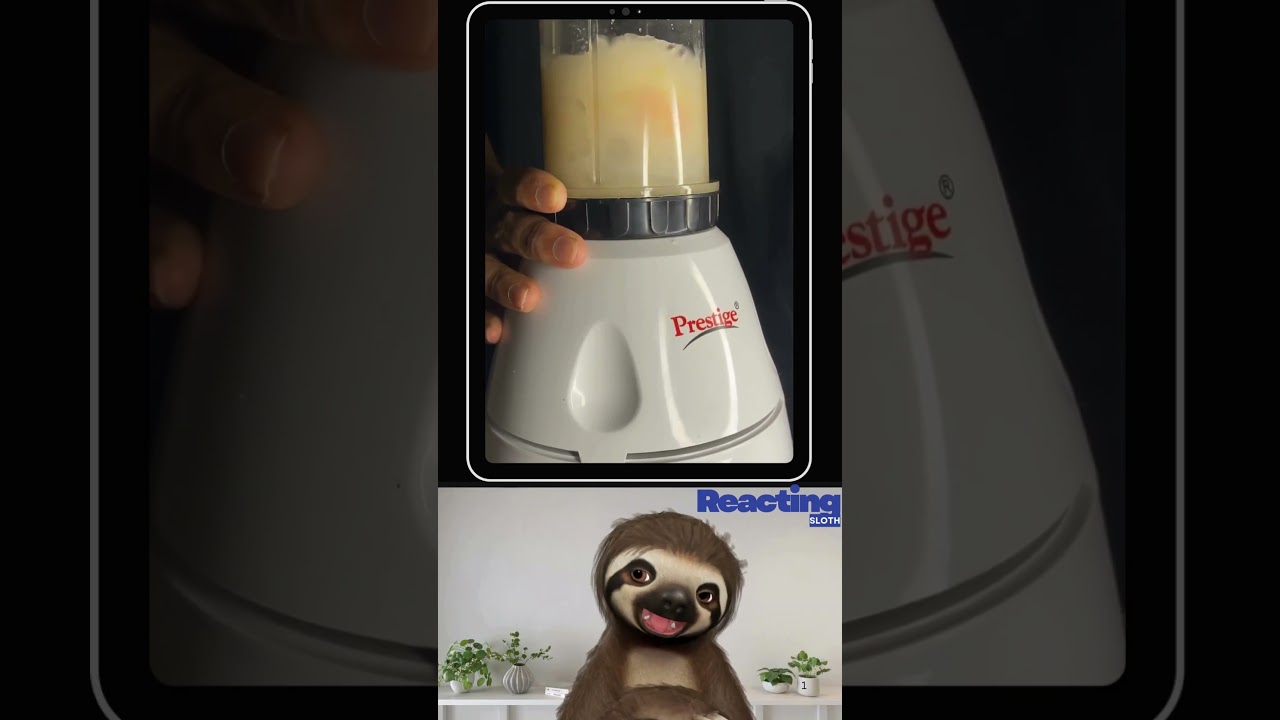 Reacting to Chilli Guava Juice 🌶️🥤 | OMG Taste Test! || Reacting Sloth 🦥