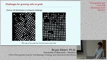 PRIMO Micropatterning for Cell Biology, Virology, and Advanced Workflows