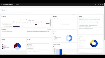 How to Video   IBM OpenPages Views and Fields