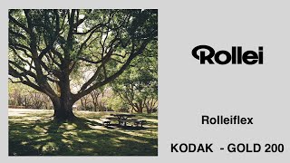 [ ROLLEIFLEX 3.5F   Kodak Gold 200 ]  Medium Format Film Camera - Photography in Japan