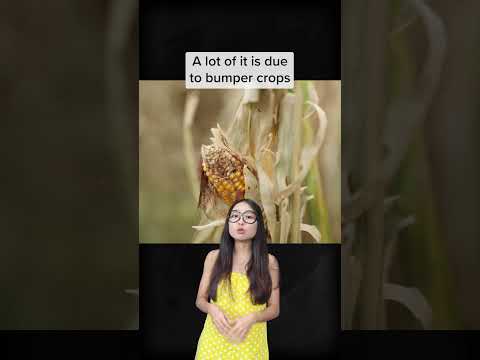 Tackling 1.2 BILLION tonnes of annual food waste | @JustKeepThinking hqdefault