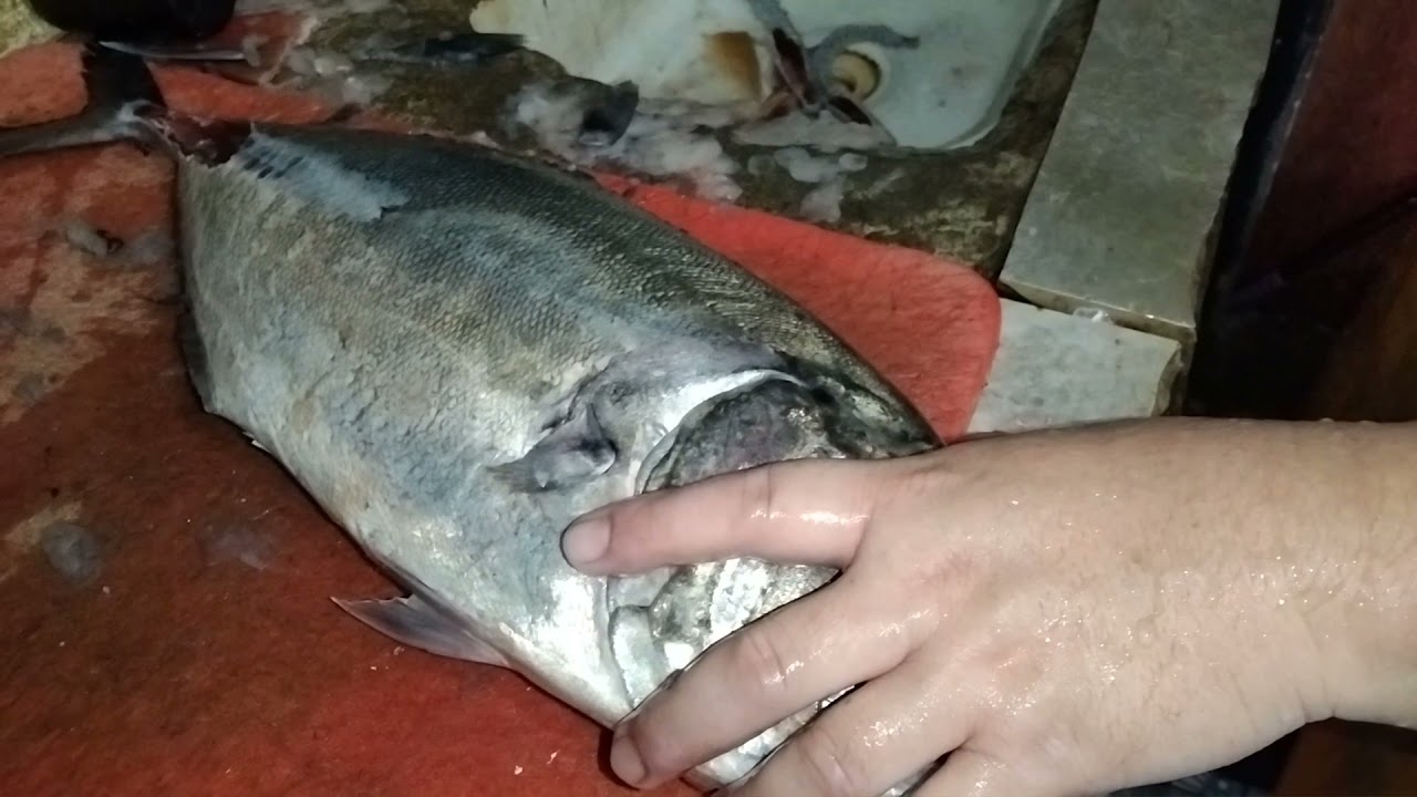 Talakitok And Maya Maya Slice Youtube