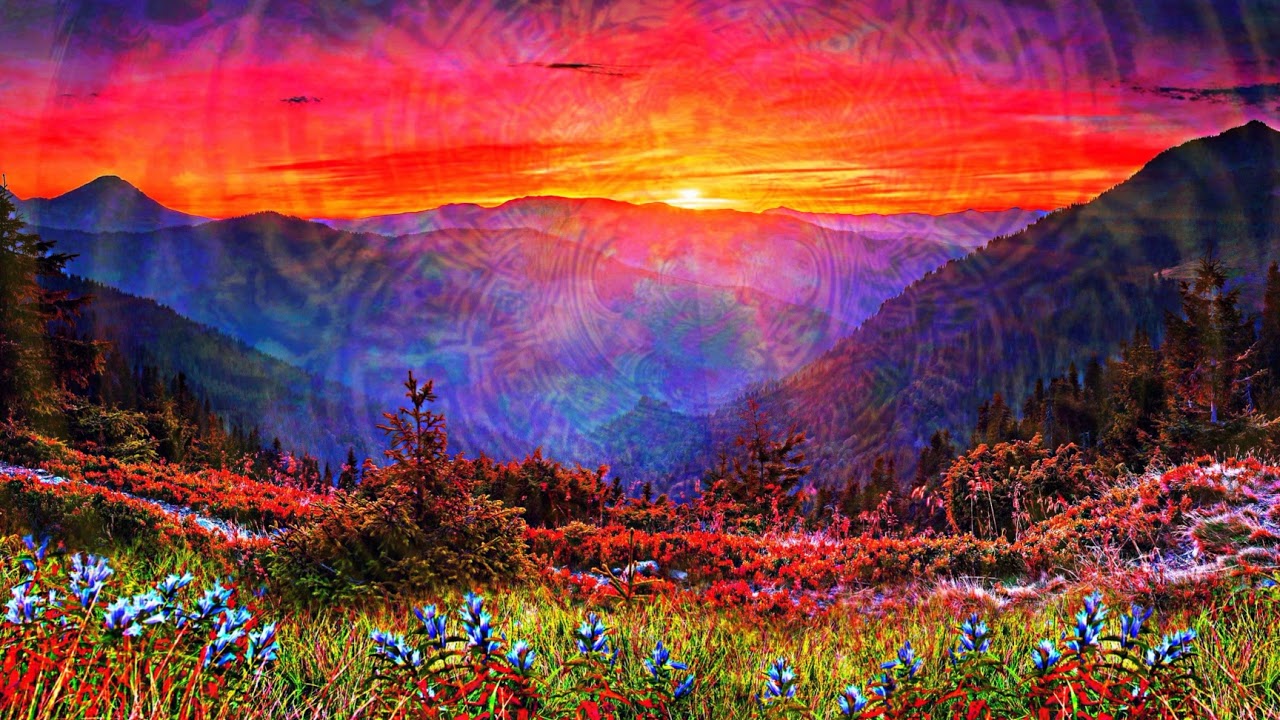 Ten Madison - Carinjo