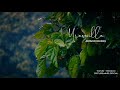 Elangathu veesuthey  cover whatsapp status  nethu thanimaiyila pochi  pithamagan  spotless mindz