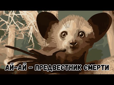 Руконожка ай-ай