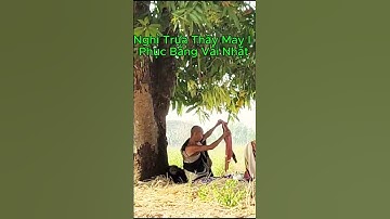 Chơi Với Nghiệp Thầy Tự May Vá Vải Nhặt Bên Đường #thayminhtue #suminhtue