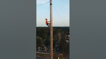 🐒🌲 Amazing Tree Climbing Skills – Check This Out!