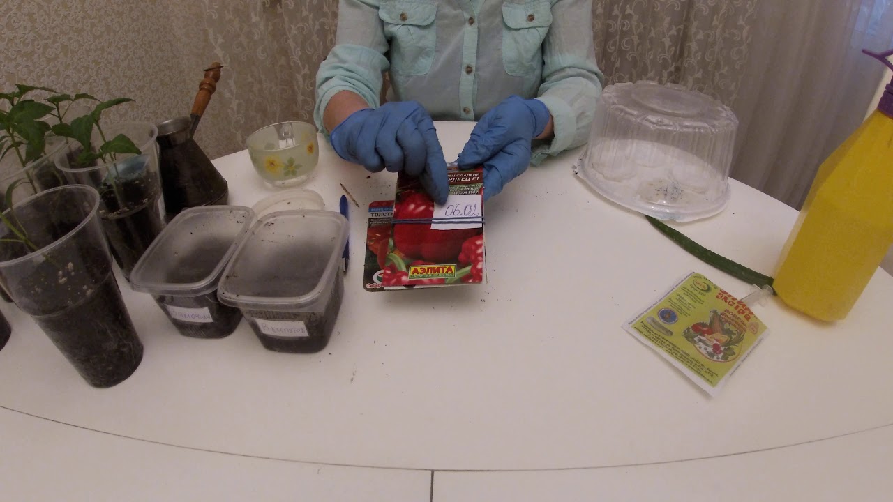 Перцы, три способа посадки. Часть 2