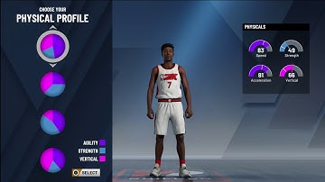 The BEST Sharpshooting Guard Build for 2K20