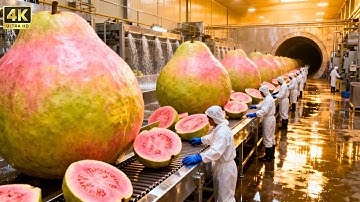Inside a Modern Pink Guava Factory: From Fresh Fruit to Premium Pulp (Full Process)