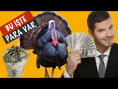 Bu İşte Para Var - Hindi Yetiştirmek Karlımı - Hindi Yetiştirerek Zengin Olunur mu?