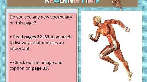 CKLA Grade 3 Unit 3 Lesson 4 EDIT  Tilley VIDEO