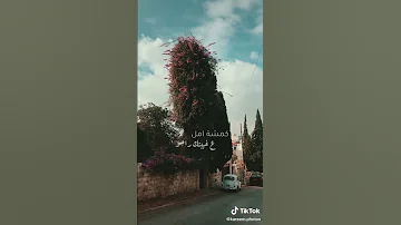ملحم زين انتي مشيتي وبكيت الوردة 