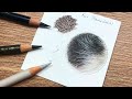 How to Transition WHITE FUR to BLACK FUR using COLORED PENCIL | Drawing Tutorial